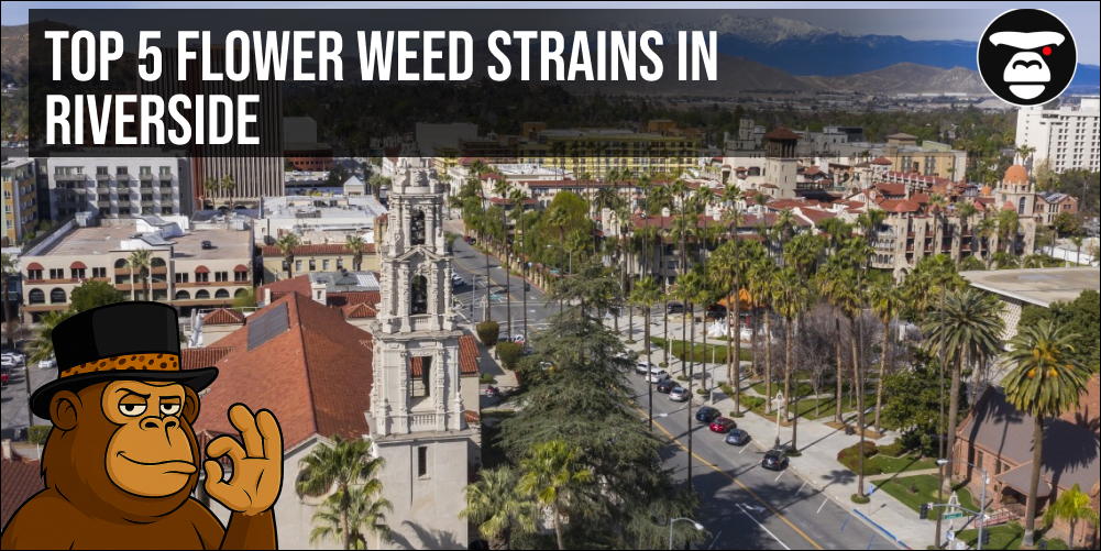 Top 5 Flower Weed Strains in Riverside