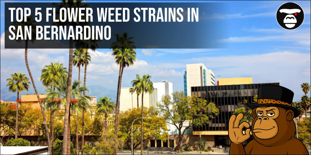 Top 5 Flower Weed Strains in San Bernardino