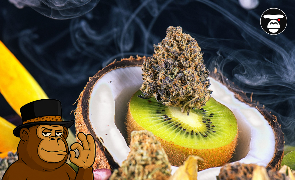 Top Fruity Marijuana Strains