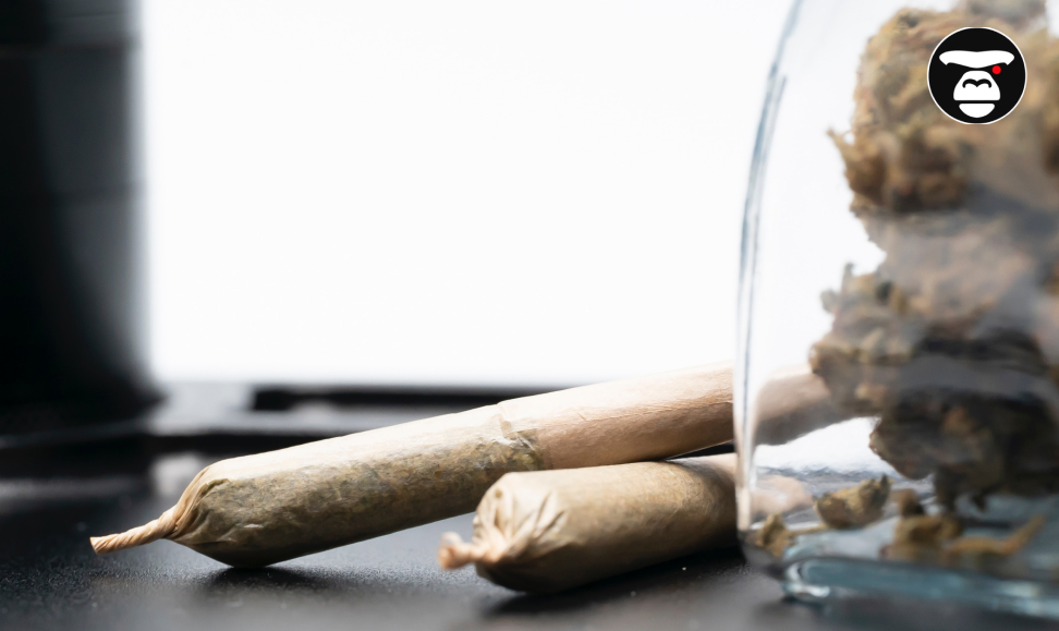 Two pre-rolled cannabis joints, one long and one shorter, lying on a dark surface next to a clear glass jar filled with cannabis flower buds.