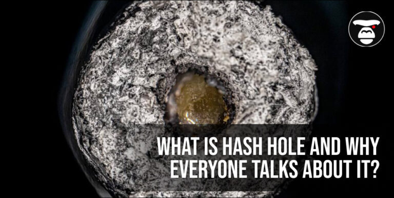 What is hash hole and why everyone talks about it? | APE Premium Cannabis