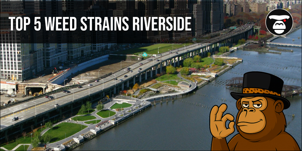 top 5 weed strains in riverside