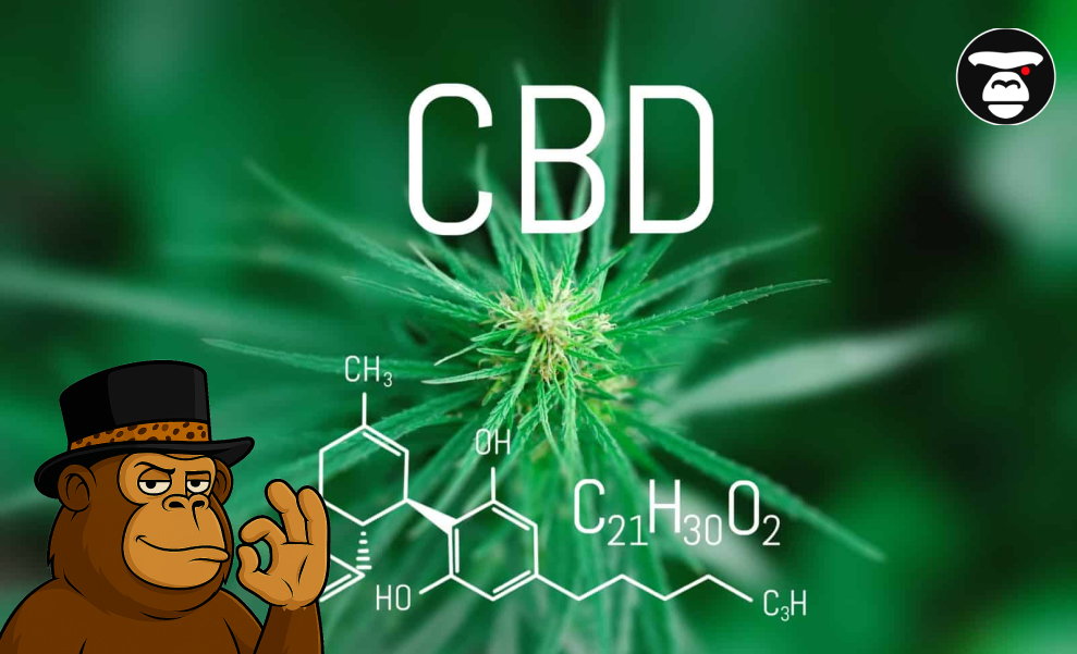 The word "CBD" and the chemical structure of Cannabidiol are superimposed over a close-up of a cannabis flower bud.