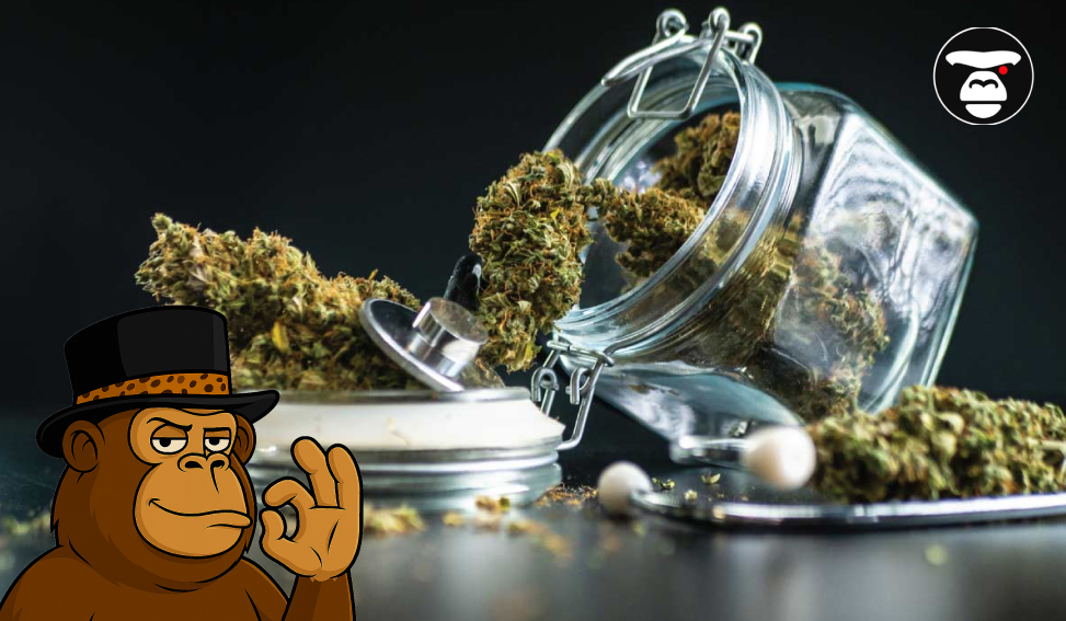 Where and How to Safely Purchase Cannabis Worldwide