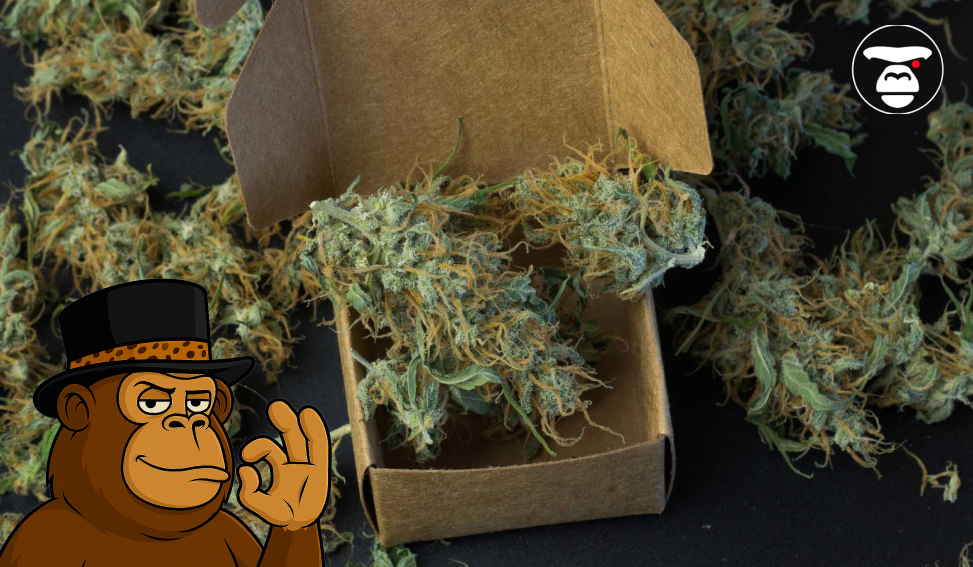 Weed Delivery Services in Sacramento Weed Delivery Services in Sacramento