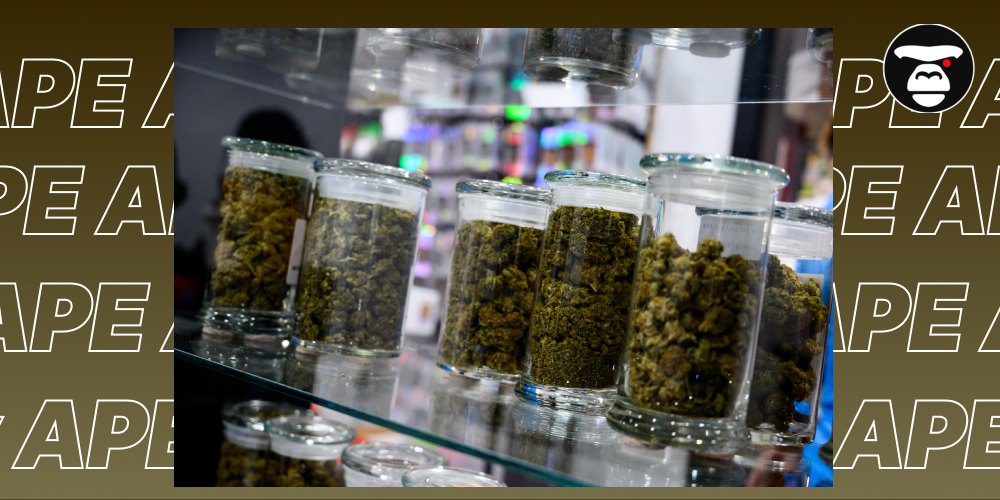 Top 5 Flower Weed Strains in San Jose