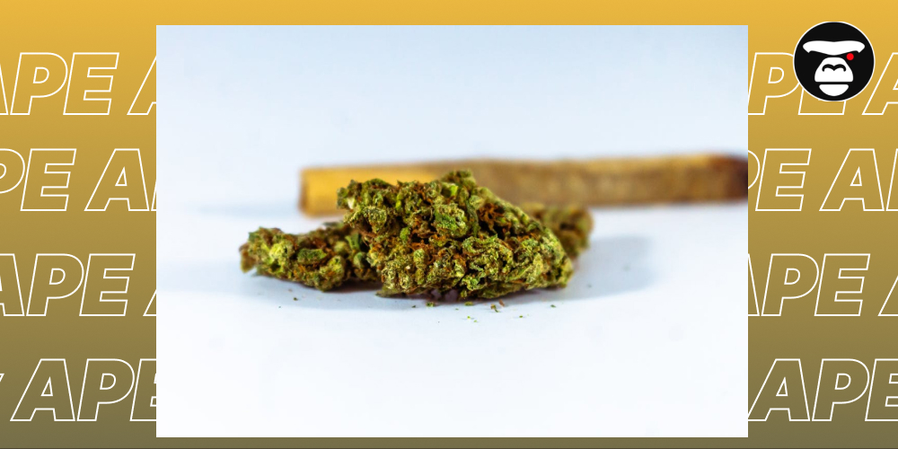A small pile of green, cured cannabis buds on a white background with a pre-rolled joint or blunt, slightly out of focus, extending across the frame in the background.