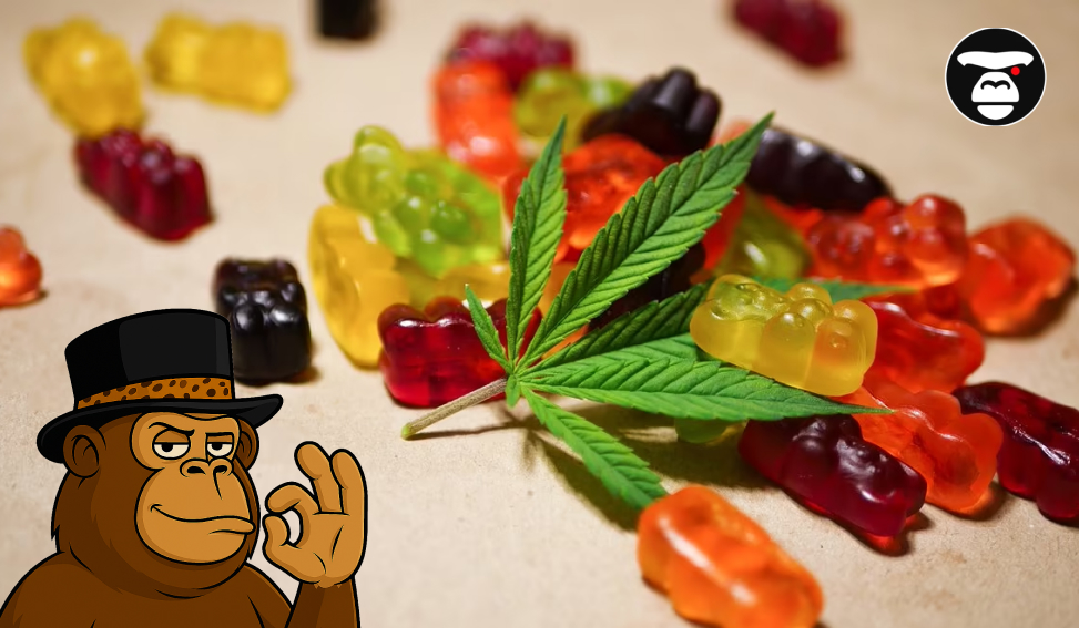 A fresh cannabis fan leaf placed among a colorful pile of gummy bears in various colors (red, green, yellow, orange).