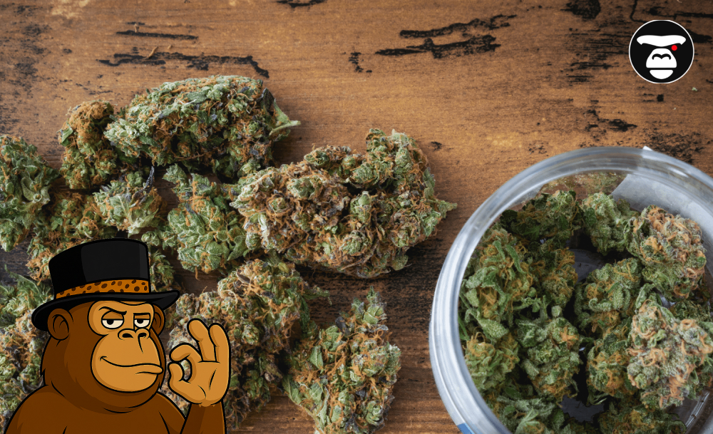 Top 5 Flower Weed Strains in Sacramento High-angle shot of dried cannabis flower buds spilled on a rustic wooden table next to a clear glass jar filled with nugs.