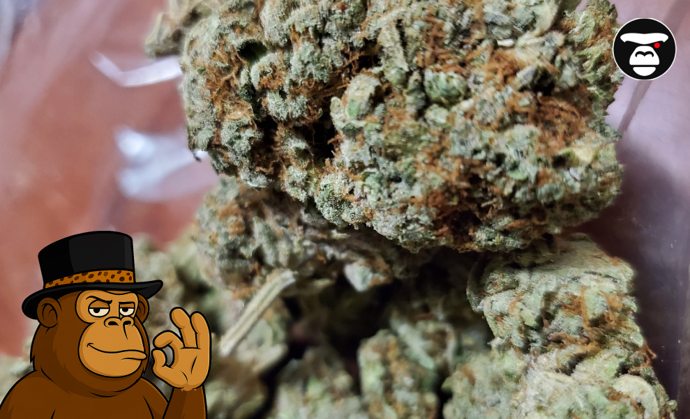 An extreme macro shot of several dense, sticky cannabis buds showing rich green and deep orange colors, slightly blurred in a clear bag or container. The cartoon monkey figure is present in the lower-left corner.