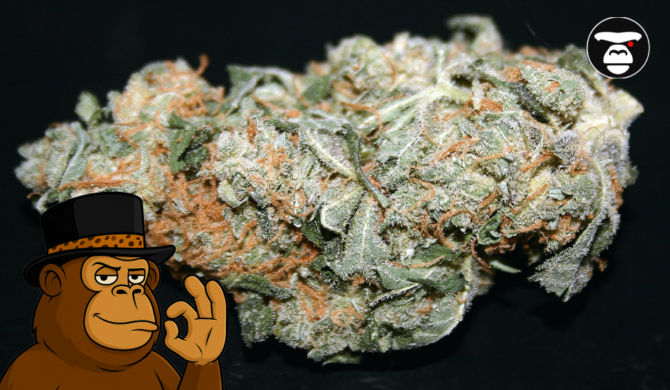 What is Strawberry Diesel Weed Strain