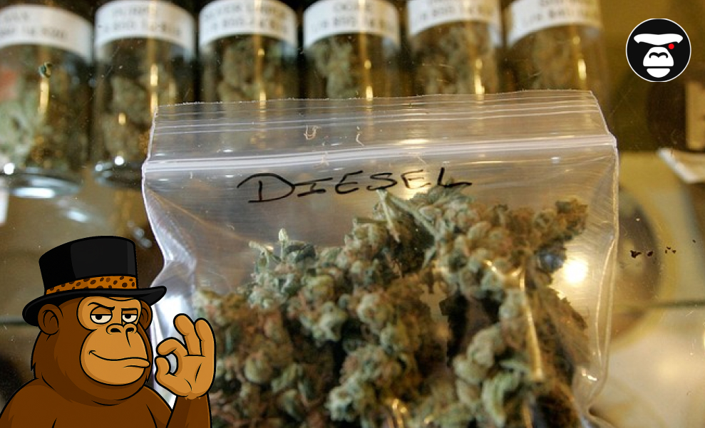 Close-up of cannabis buds labeled "Diesel" in a plastic bag, with jars of cannabis in the background.