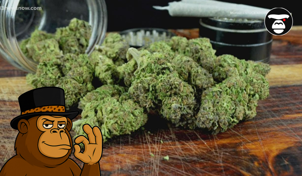 A pile of dried cannabis nugs spilled from a glass jar onto a wooden surface next to a grinder and pre-rolled joints.