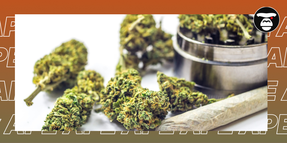 6 Marijuana Myths and Facts: What Science Says Dried cannabis flower buds, a metal grinder, and a pre-rolled joint clustered on a white surface.