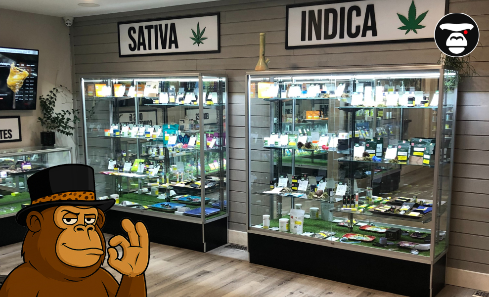 Inside a cannabis dispensary with glass display cases labeled 'SATIVA' and 'INDICA' showing various products.