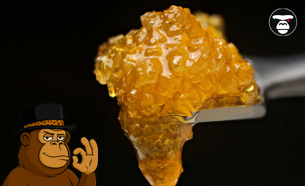 A glob of sticky, amber-colored cannabis concentrate loaded onto the tip of a metal dab tool against a black background.
