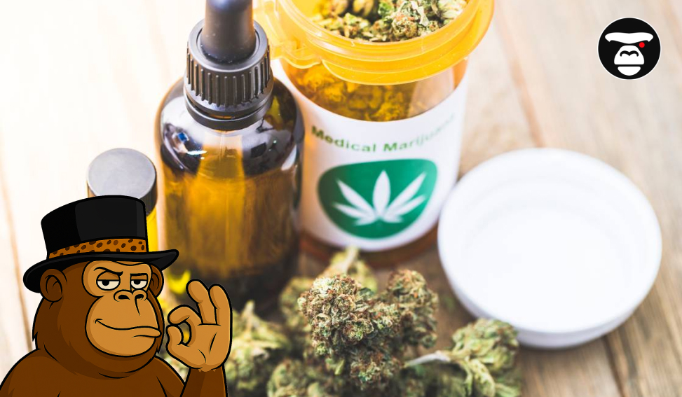 An assortment of medical cannabis products, including oil in dropper bottles and dried flower in a prescription vial.