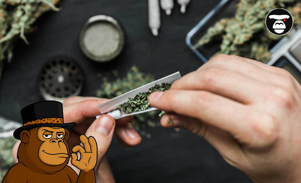 Safe Cannabis Use: Tips and Precautions Hands rolling a cannabis joint using rolling paper, with dried flower and a grinder visible.