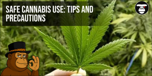 Safe Cannabis Use_ Tips and Precautions