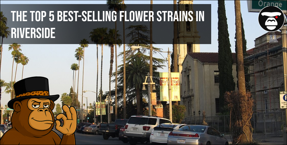 The Top 5 Best-Selling Flower Strains in Riverside