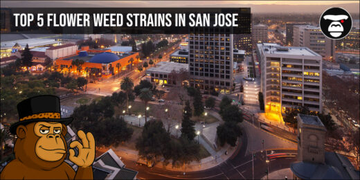 Top 5 Flower Weed Strains in San Jose