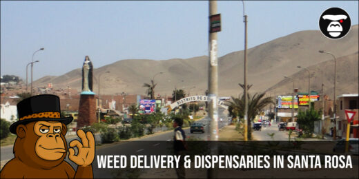 Weed Delivery and Dispensaries in Santa Rosa