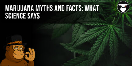 Marijuana Myths and Facts: What Science Says