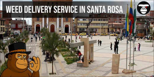 Weed Delivery Service in Santa Rosa
