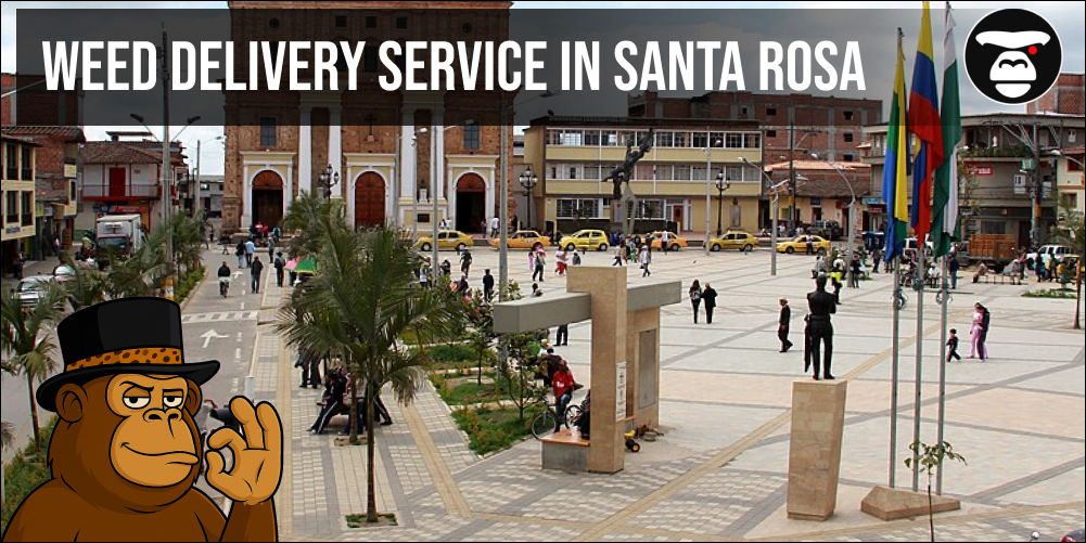 Weed Delivery Service in Santa Rosa