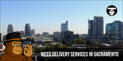 Weed Delivery Services in Sacramento