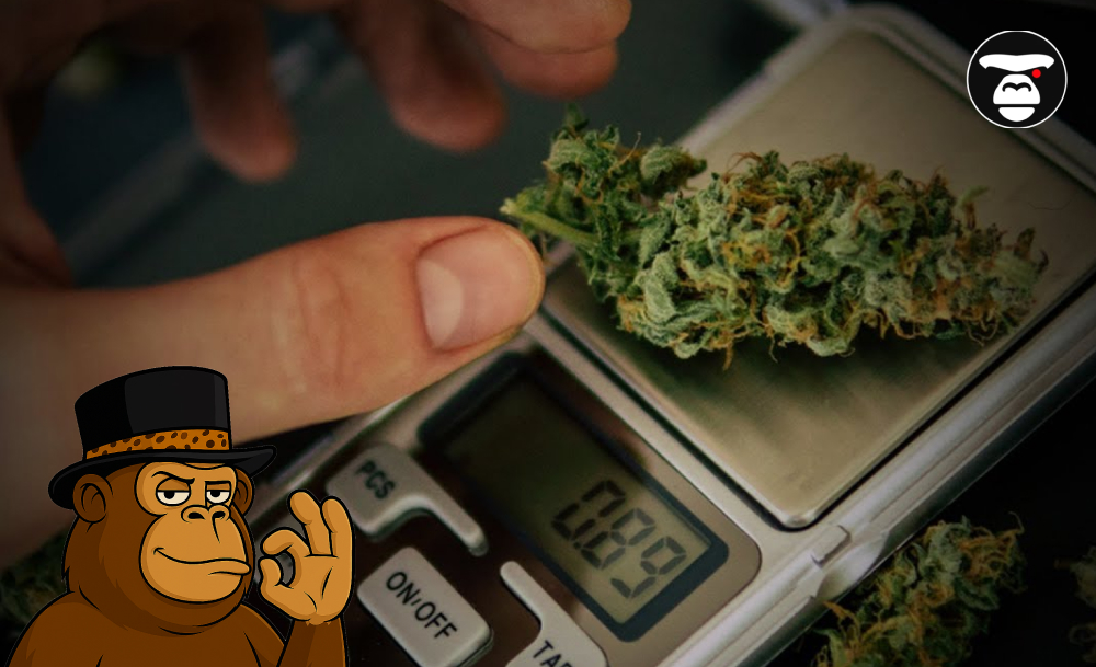 6 Marijuana Myths and Facts: What Science Says A close-up of a finger placing a cannabis bud onto a small digital scale that displays the weight.