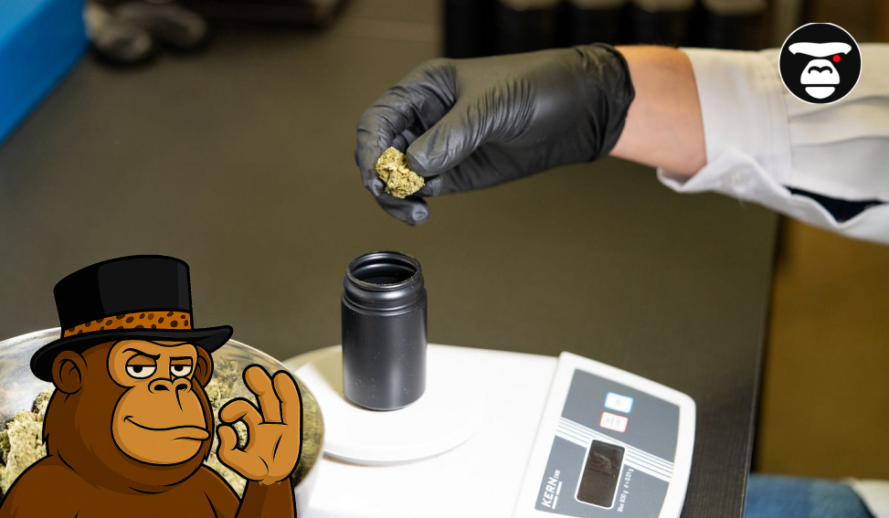 Weed Delivery Service in Santa Rosa Weed Delivery Service in Santa Rosa