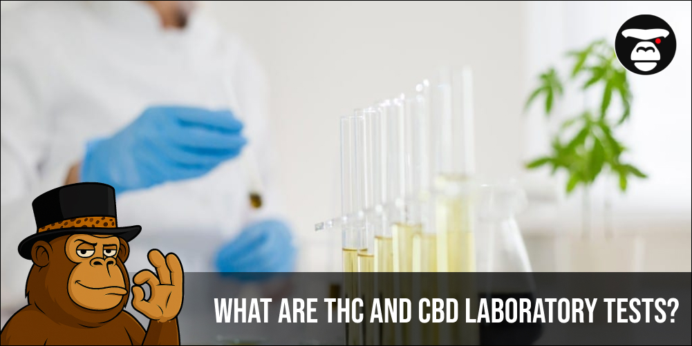 What Are THC and CBD Laboratory Tests