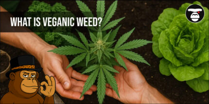 What Is Veganic Weed