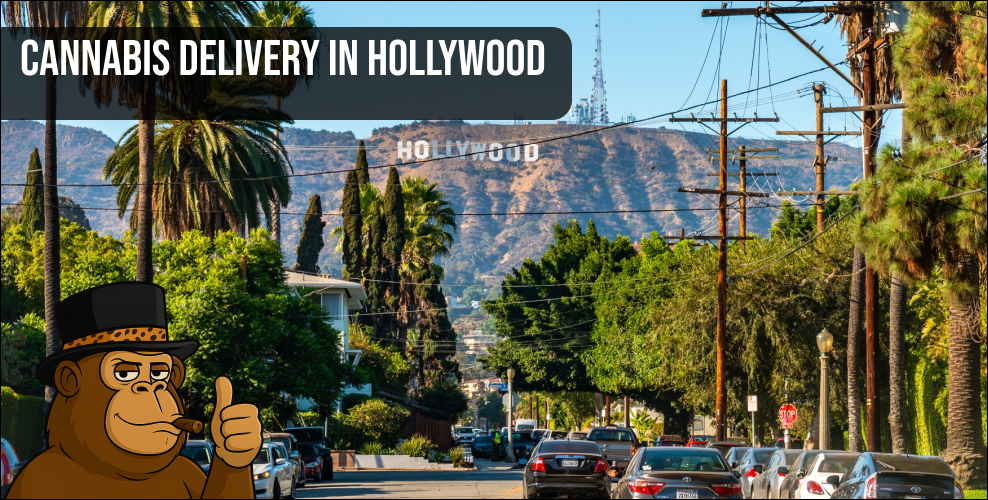 A scenic view of the Hollywood hills and palm trees, perfect for a cannabis delivery in Hollywood lifestyle.