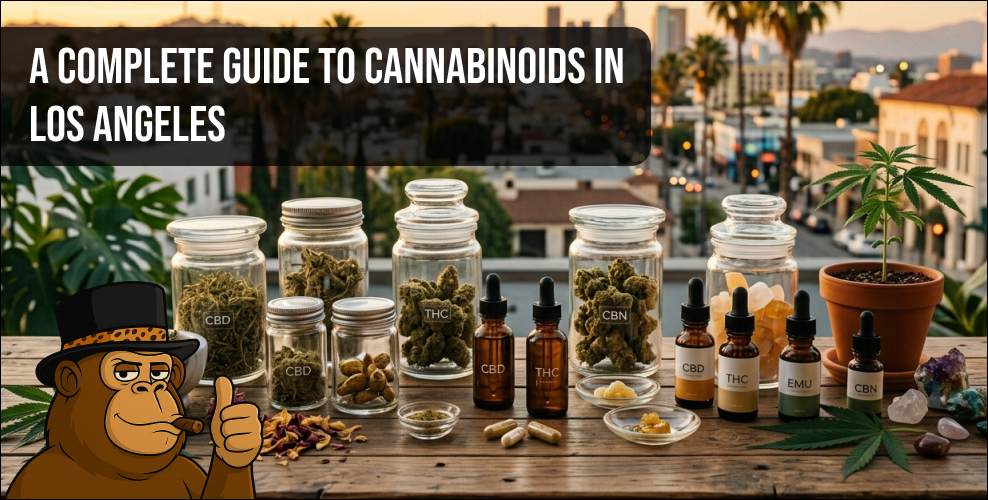 An assortment of glass jars and tincture bottles labeled with CBD, THC, and CBN for a complete guide to cannabinoids in Los Angeles.