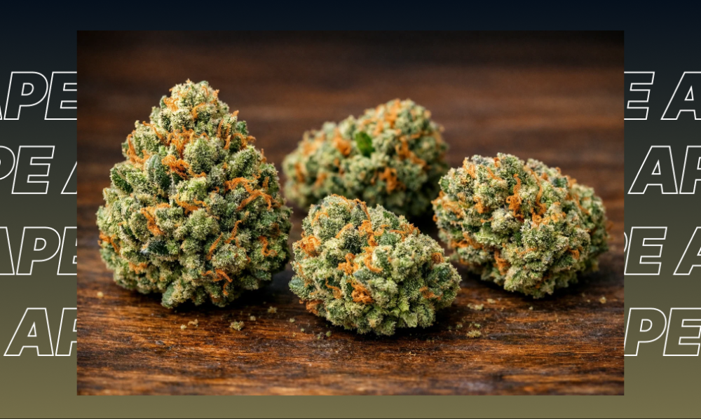 Four distinct, well-trimmed green cannabis buds arranged on a dark wooden surface for a cannabinoid comparison guide.