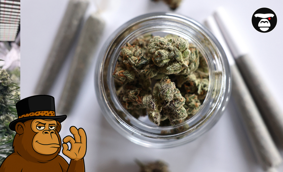 Overhead view of a glass jar filled with cannabis and two pre-rolls on a white surface