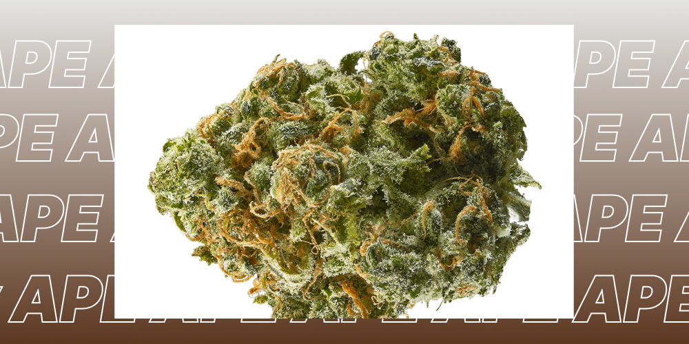 Best Weed Strains In Fresno 