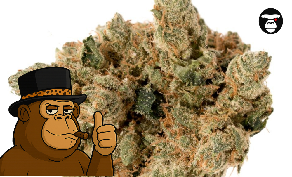 Best Weed Strains In Fresno 