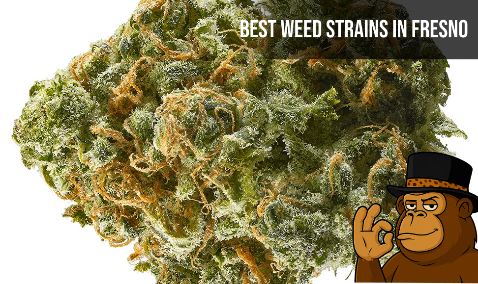 Best Weed Strains In Fresno 
