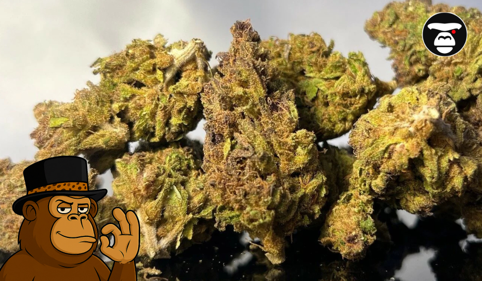Understanding Cannabis Flower: Nugs, Smalls, Shake Understanding Cannabis Flower_ Nugs, Smalls, Shake