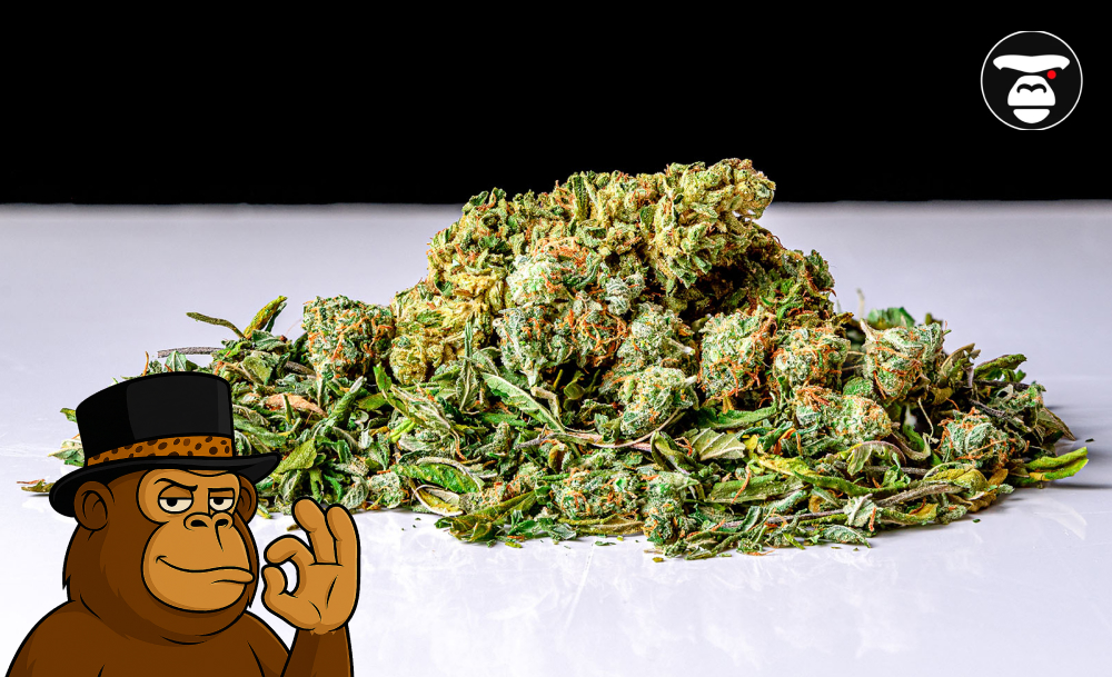 Understanding Cannabis Flower: Nugs, Smalls, Shake A large pile of green cannabis shake and trim on a white surface with a cartoon mascot.
