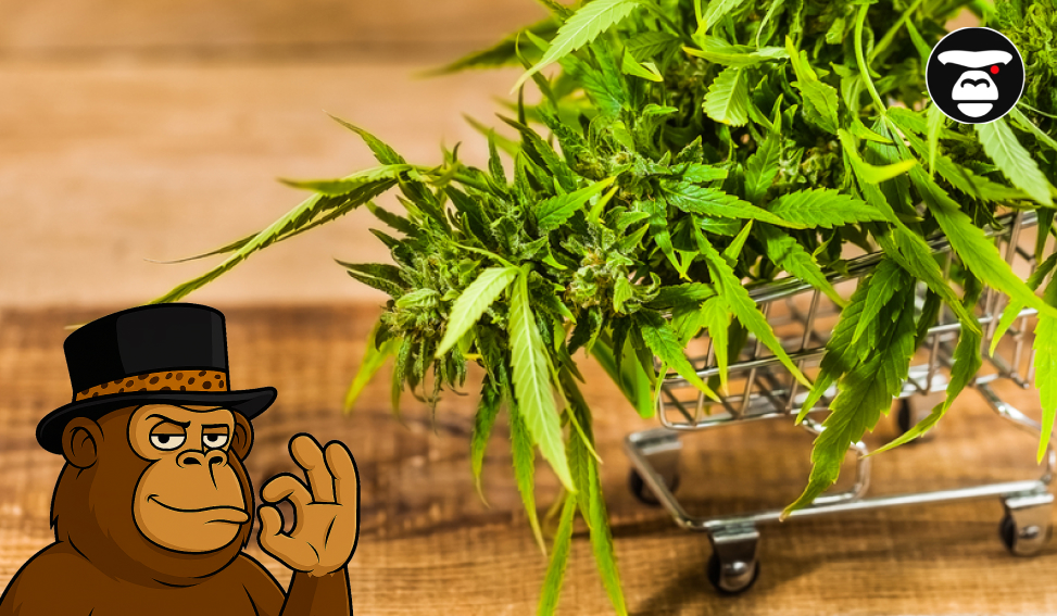 Weed Delivery & Dispensaries in San Bernardino Weed Delivery & Dispensaries in San Bernardino