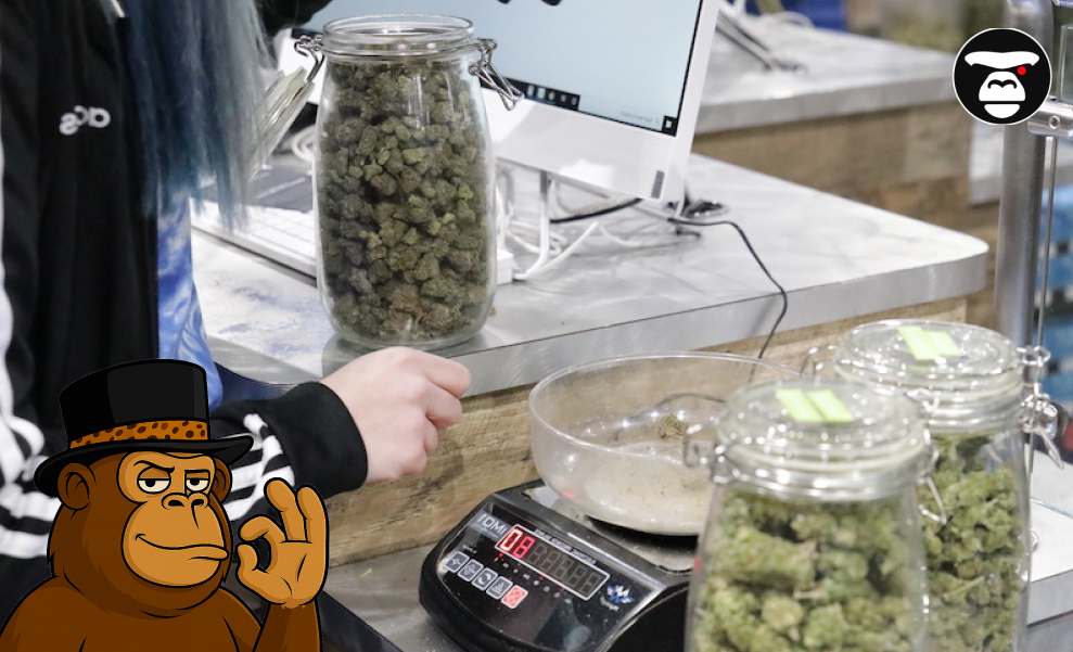 Weed Delivery & Dispensaries in San Bernardino A dispensary worker weighing cannabis flower on a digital scale with jars on the counter.
