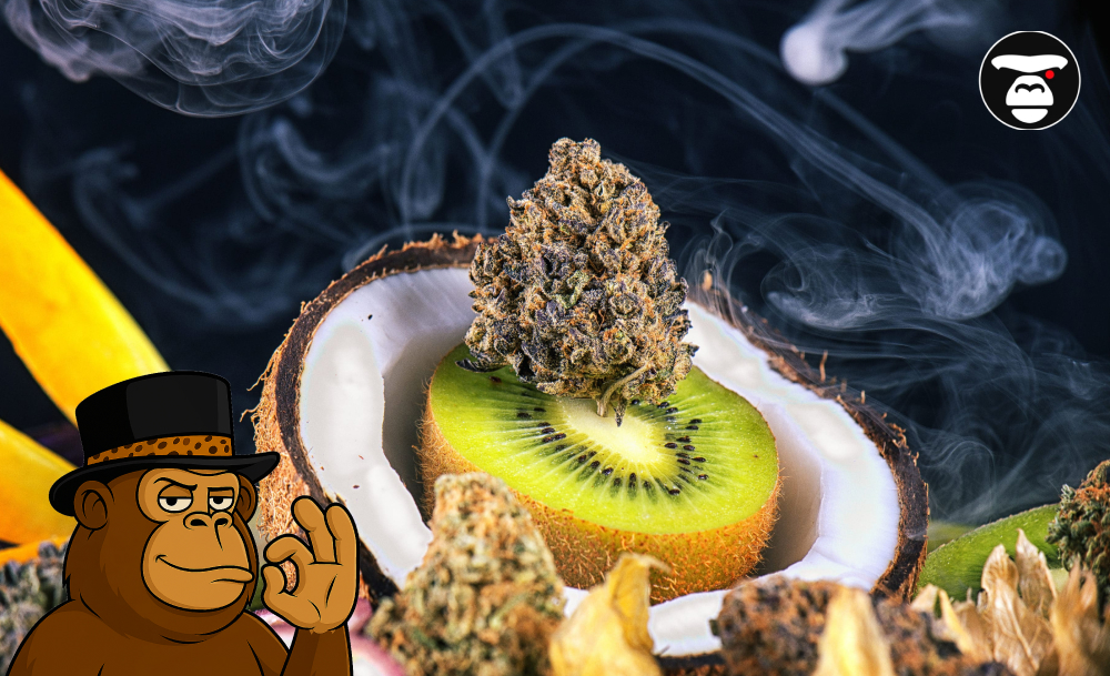 Terpenes in Cannabis: How They Affect Flavor, Aroma, and Effects Terpenes in Cannabis_ How They Affect Flavor, Aroma, and Effects