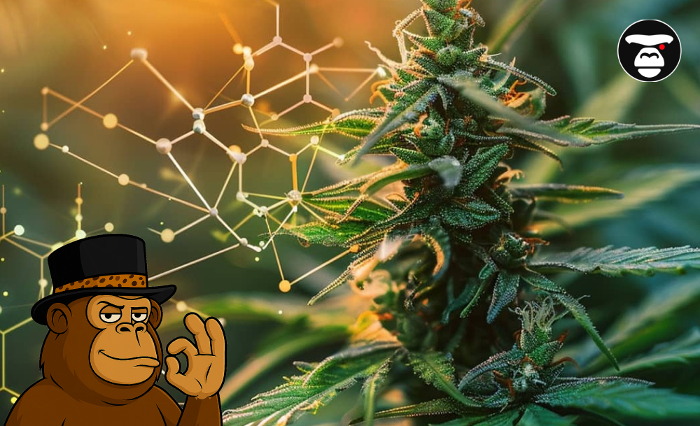 Cannabis trends 2025_ new varieties and innovations