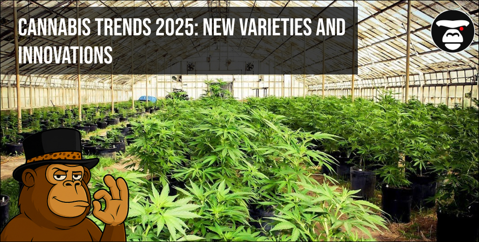 Cannabis trends 2025_ new varieties and innovations