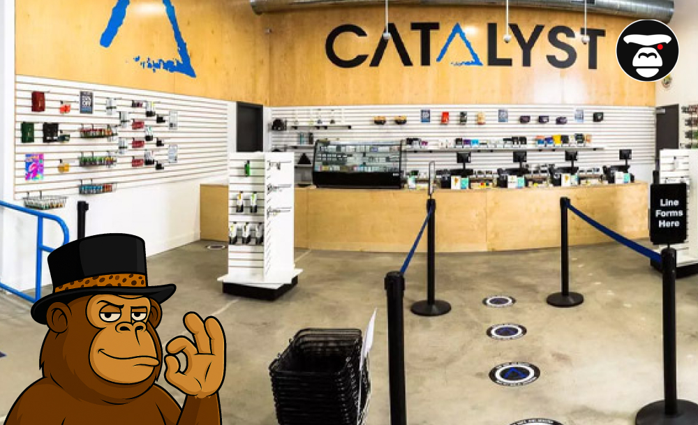 Interior of a Catalyst dispensary featuring wood paneling and organized product walls.