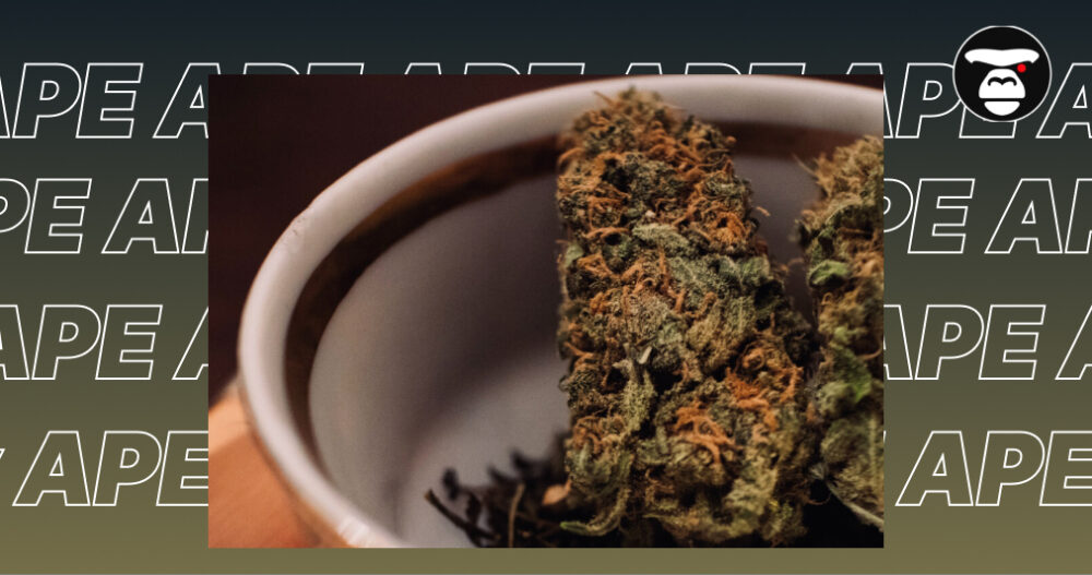 Top 5 Flower Weed Strains in Santa Rosa